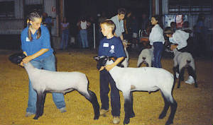 westlamb02.jpg